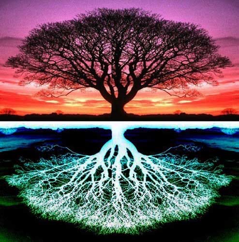 дерево мира